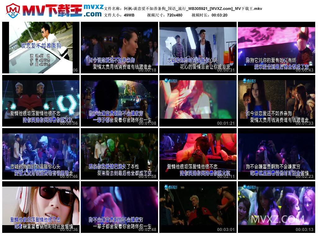 阿枫-谈恋爱不如养条狗_国语_流行_MB305921